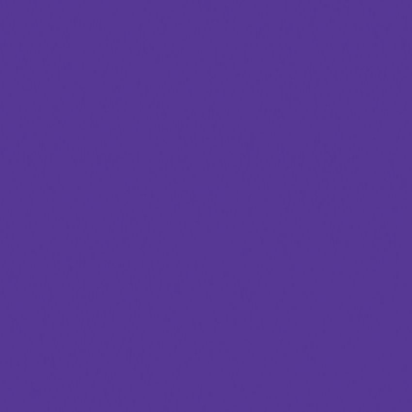 Createx Wicked Detail Colors Violet, Gallon: Anest Iwata-Medea, Inc.