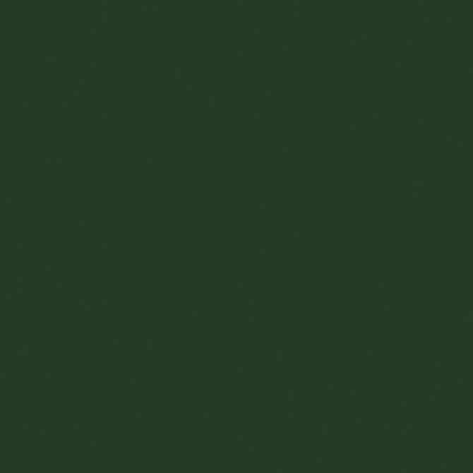 Createx Wicked Detail Colors Moss Green, Gallon: Anest Iwata-Medea, Inc.