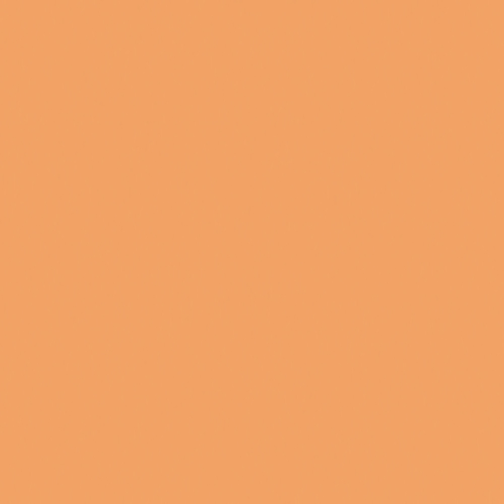 Createx Wicked Detail Colors Flesh Tone, Gallon