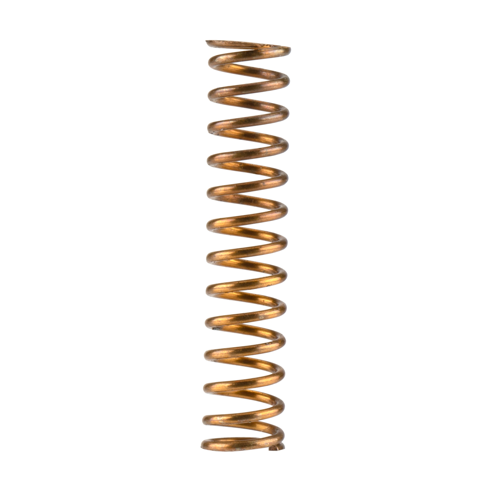 Air Valve Spring